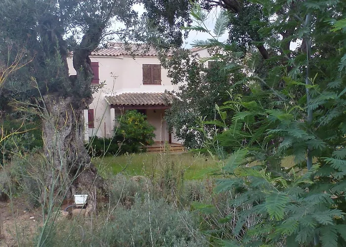 Domaine Valdaronu